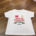 ✨PERSONALISED Welsh dragon + T-shirt✨