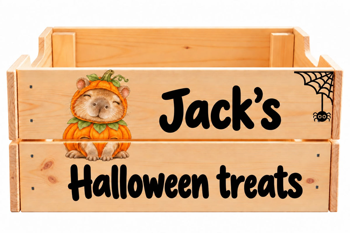 ✨🎃CAPYBARA HALLOWEEN CRATE🎃✨