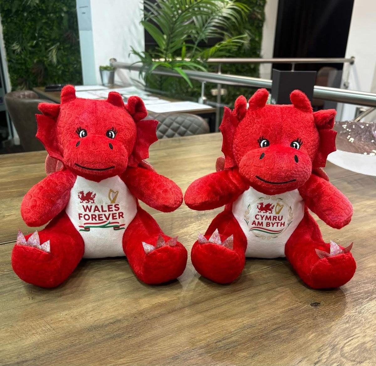 ✨PERSONALISED Welsh dragon + T-shirt✨
